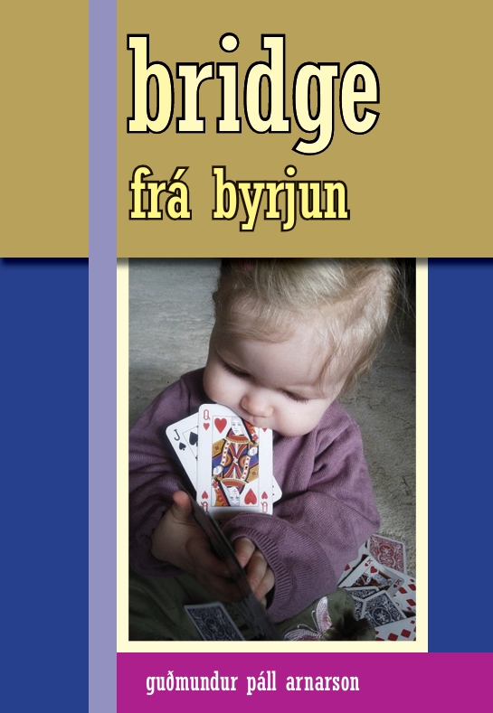 bridgefrábyrjun.jpeg